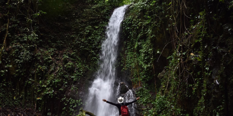 10 Must-See Waterfalls Near Asheville